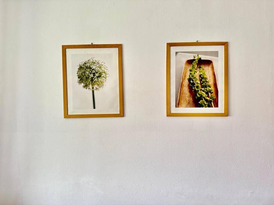 Appartamento Stephanie Como Dış mekan fotoğraf